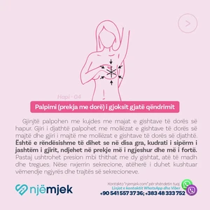 Kanceri i Gjirit
